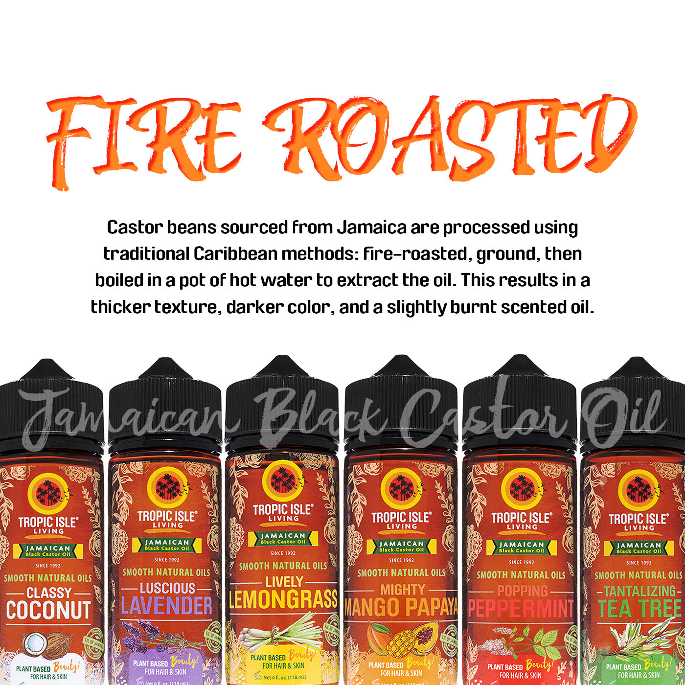 Smooth Natural Oils Tantalizing Tea Tree 4oz | Tropic Isle Living